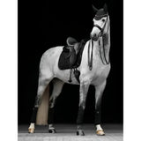 A dapple gray horse wearing lemieux crystal suede dressage square black with leather girth protection and leg wraps