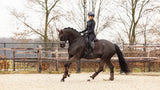 LeMieux Crystal Suede Dressage Square Brown Small/Medium Brown Dressage Saddle Pads
