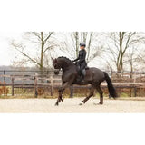 LeMieux Crystal Suede Dressage Square Brown Small/Medium Brown Dressage Saddle Pads