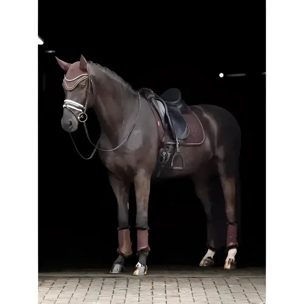 Dark brown horse wearing lemieux crystal suede dressage square with leather girth protection area and silver bridle