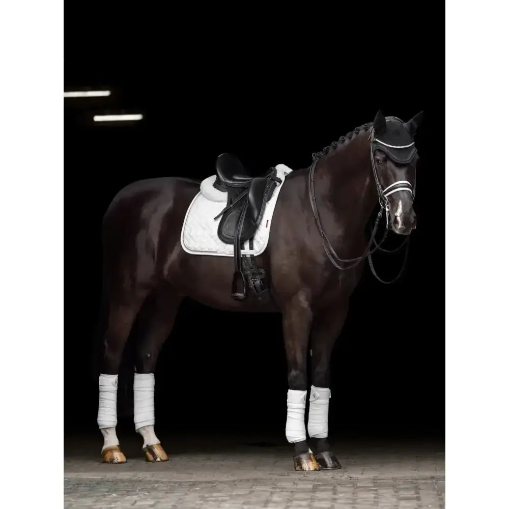 Dark brown horse wearing lemieux crystal suede dressage square white with leather girth protection and matching bridle