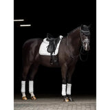 Dark brown horse wearing lemieux crystal suede dressage square white with leather girth protection and matching bridle
