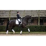 A sleek black horse wearing the lemieux crystal suede dressage square white with crystal suede and leather girth protection