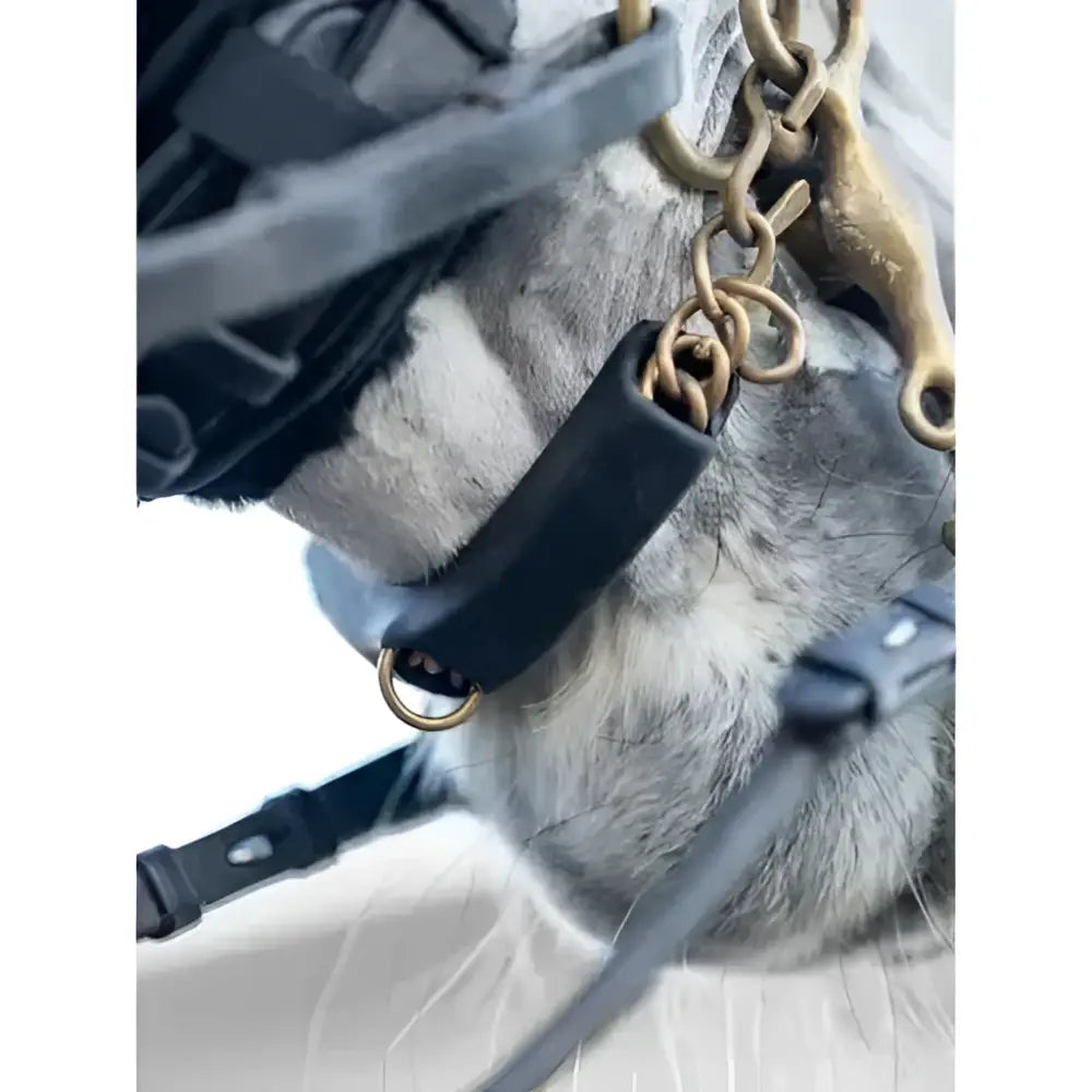 Black leather lemieux curb chain guard with brass hardware and adjustable straps for comfy curb control