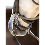 Black leather horse bridle with silver hardware featuring lemieux curb chain guard brown for secure fit