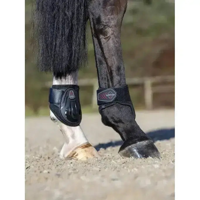 Black lemieux derby projump fetlock boot with sleek padded design and adjustable straps for horse leg protection