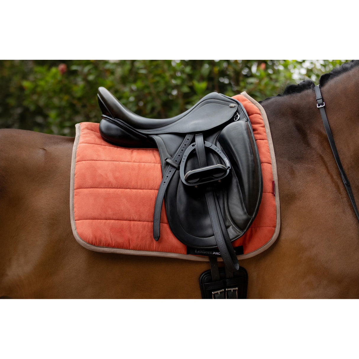 Lemieux Dressage Work Pad Apricot Saddle Pads & Numnahs Barnstaple Equestrian Supplies