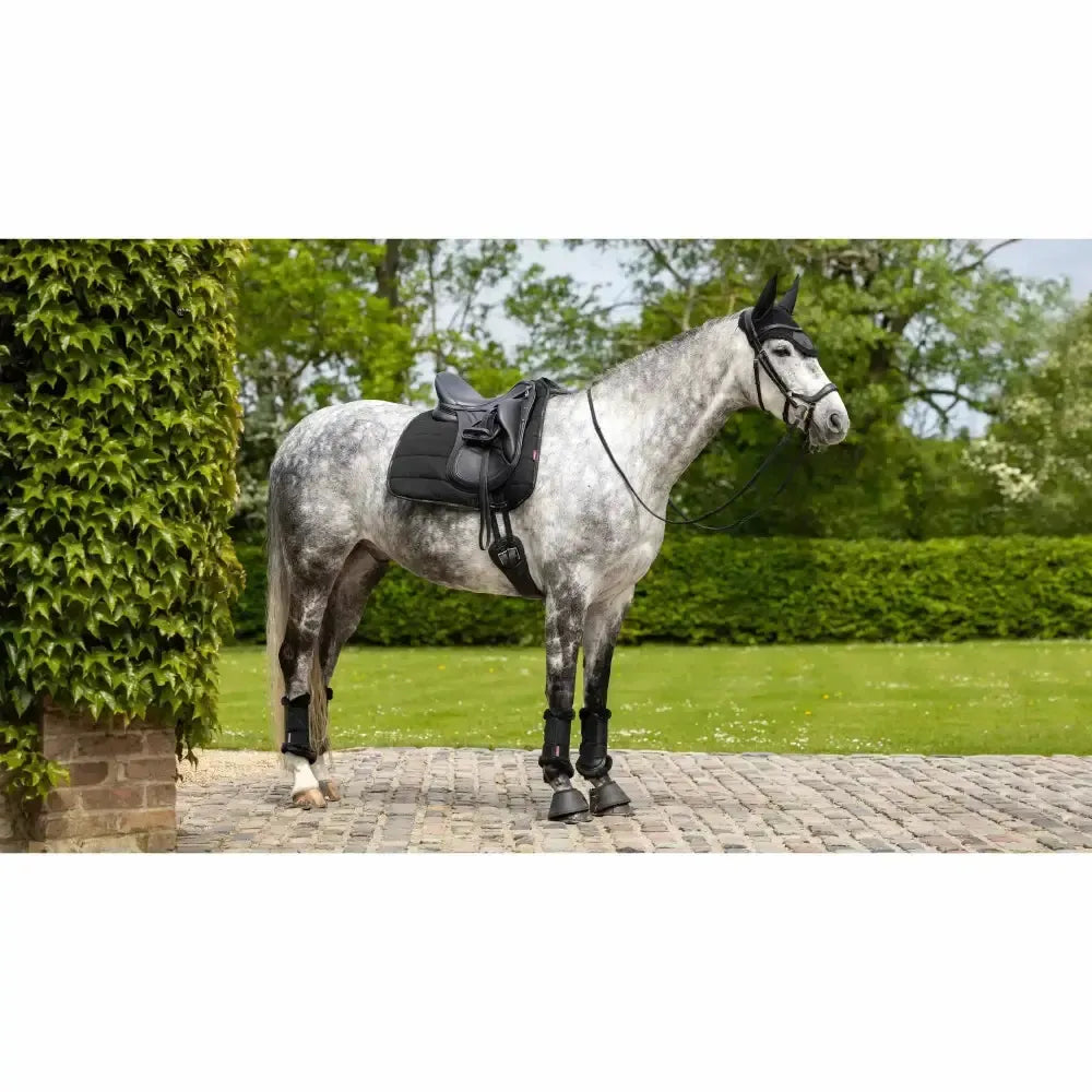 LeMieux Dressage Work Pad Black Black Large Dressage Saddle Pads