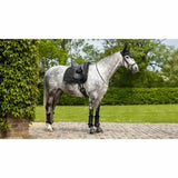 A sleek black lemieux dressage work pad with padded straps and contoured seat fitted securely on horse back