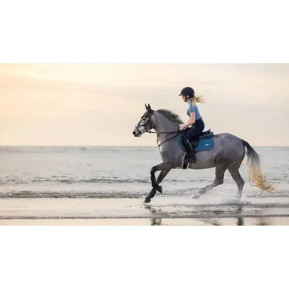 A gray horse with a lemieux earth close contact saddle galloping through water at sunset