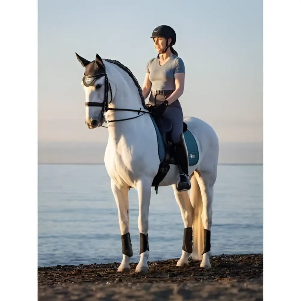 White horse wearing black protective leg wraps and dark bridle with lemieux earth dressage square ocean saddle pad
