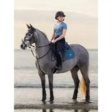 LeMieux Earth Fly Hood Ocean Medium Ocean Fly Hoods