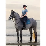 Gray horse with black helmet rider wearing a consciously-crafted lemieux earth fly hood at the shoreline water edge