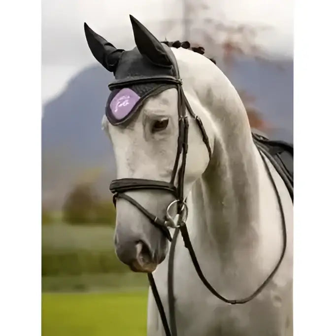 Black horse wearing lemieux earth fly hood thistle with purple eye patch made from recycled plastic bottles