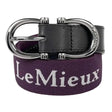 Purple woven lemieux elasticated belt aubergine with white embroidery silver buckle and black leather accent
