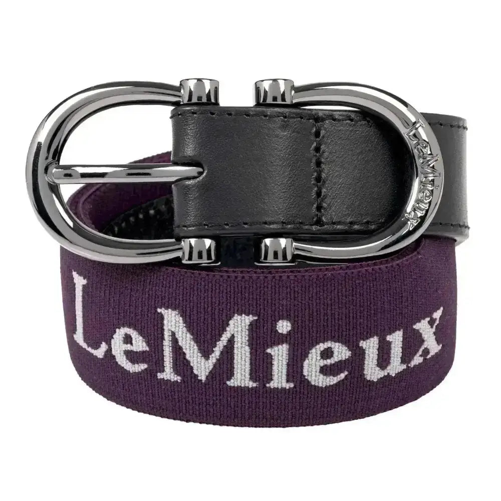 Purple woven lemieux elasticated belt aubergine with white embroidery silver buckle and black leather accent