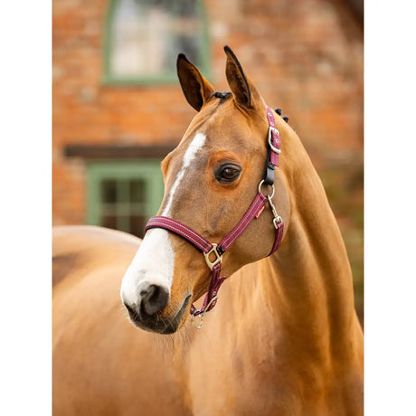 Lemieux essential yard headcollar burgundy made of maroon leather with silver hardware and durable nylon webbing details