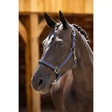 Purple leather lemieux essential yard headcollar with silver hardware durable nylon webbing headcollar navy style
