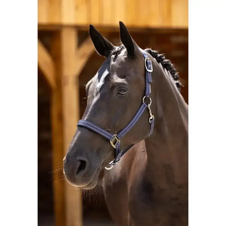 Purple leather lemieux essential yard headcollar with silver hardware durable nylon webbing headcollar navy style