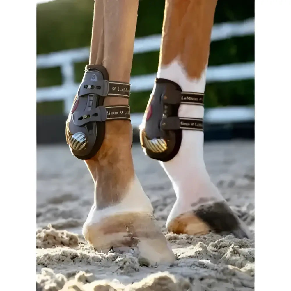 Sleek black and silver lemieux exo-flex® ankle spare boots with modern design for ankle protection and support