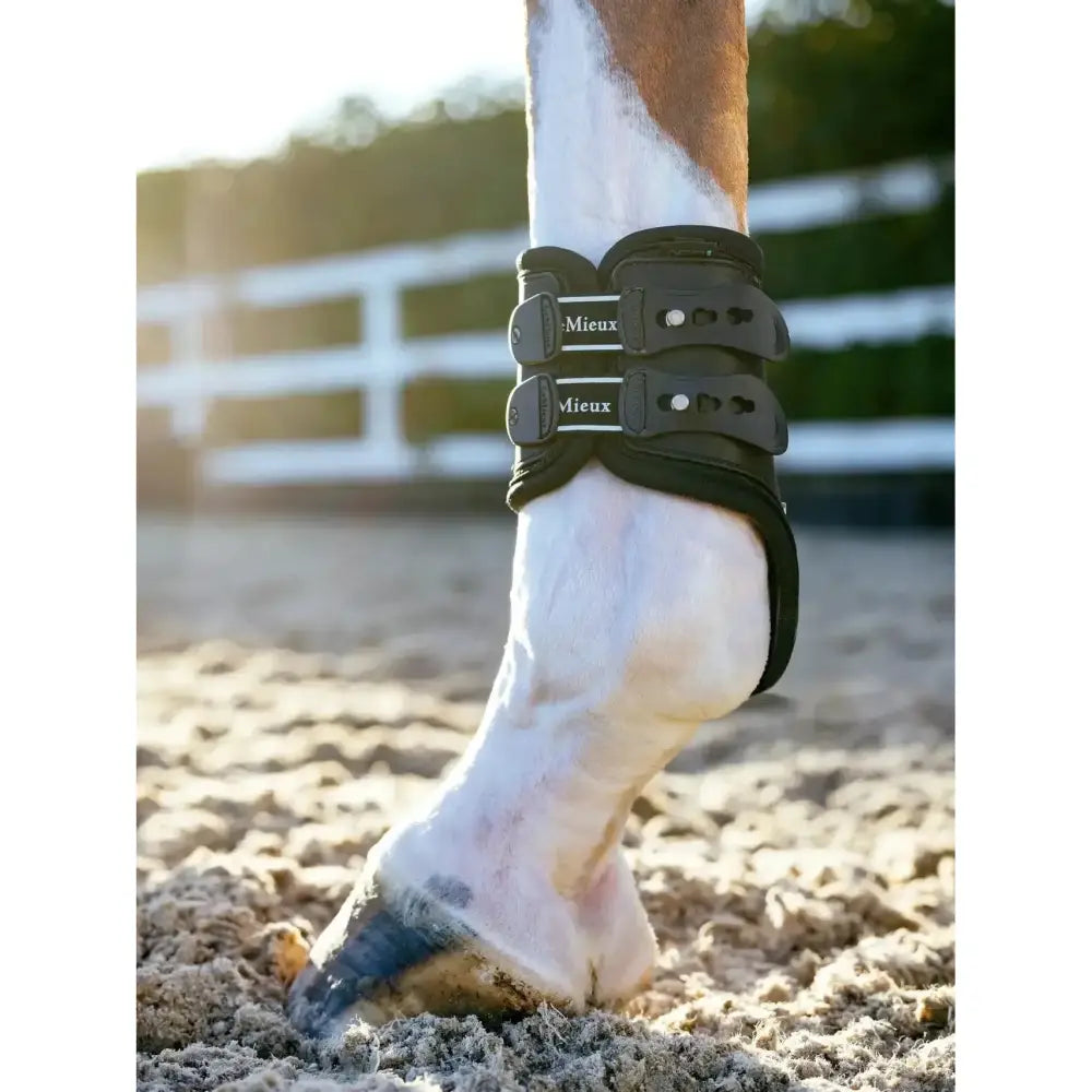 Black lemieux exo-flex fetlock spare strap with adjustable straps and sleek protective design for horse ankle guard