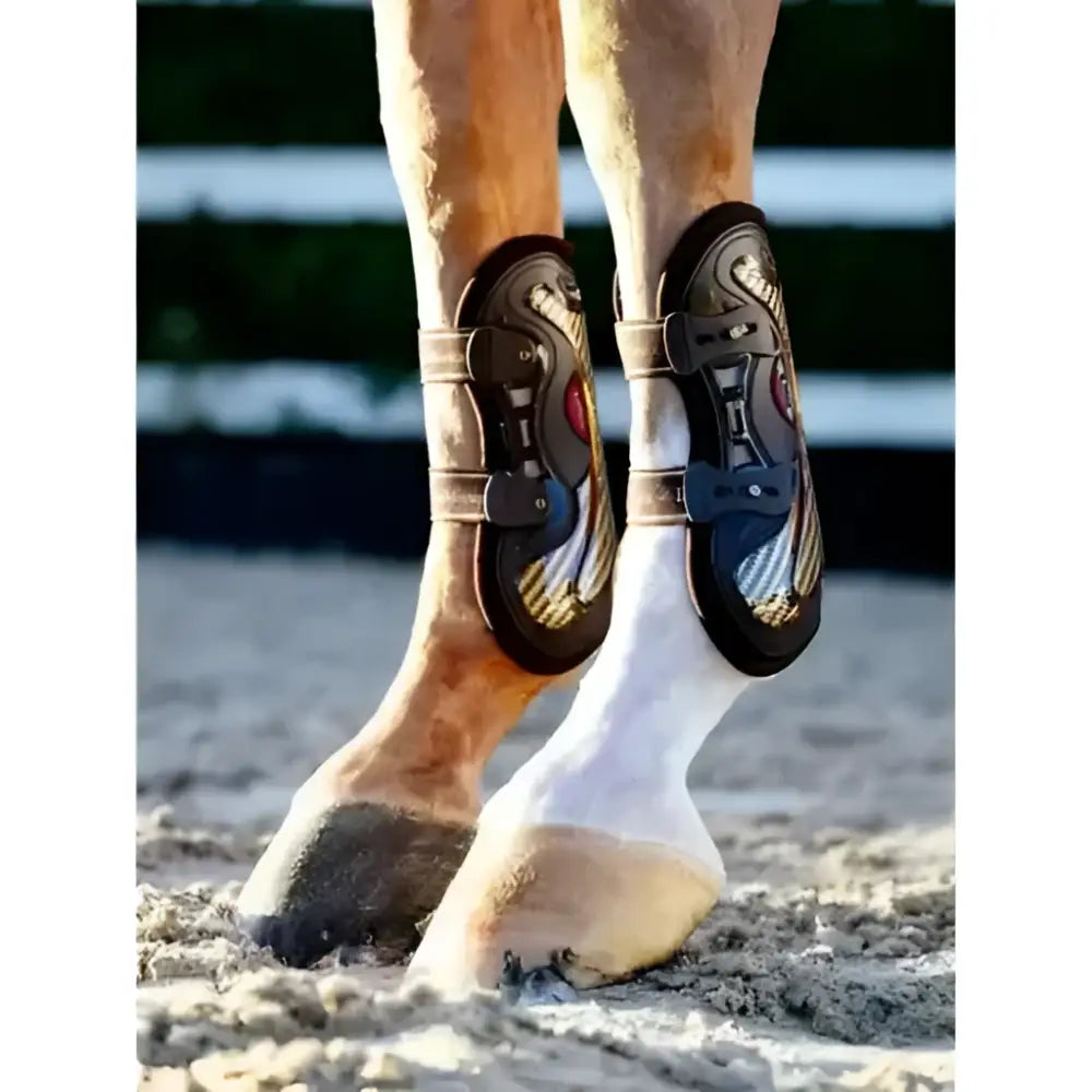Black and gold lemieux exo-flex tendon spare strap set with mesh panels and adjustable straps for extra support