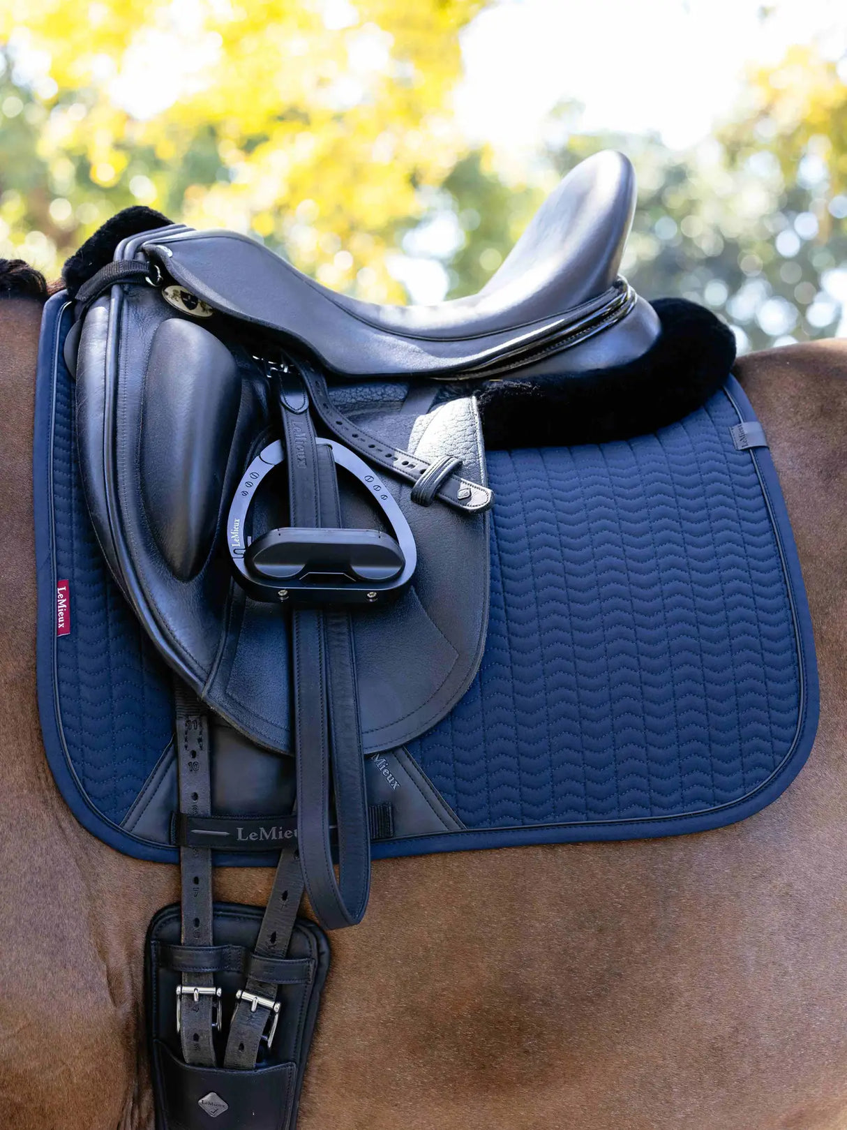 Lemieux Finesse Dressage Square Navy Navy Small/Medium Dressage Saddle Pads