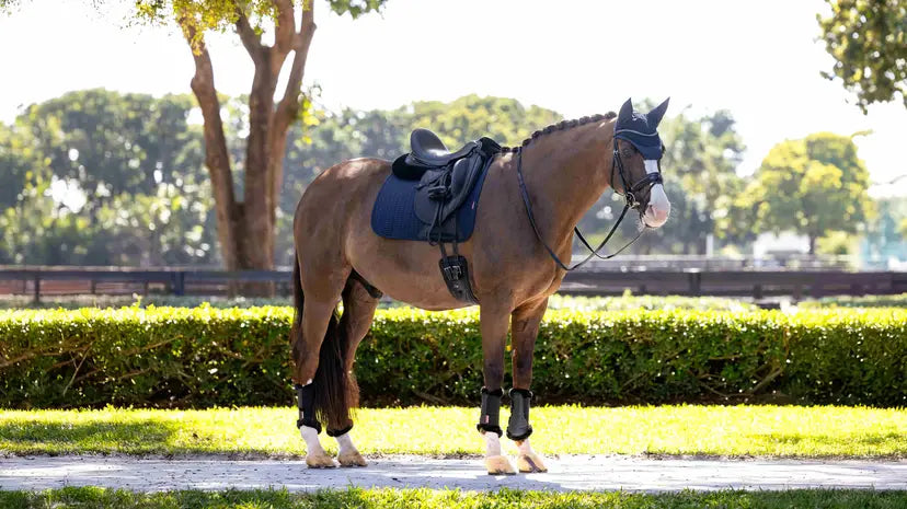 Lemieux Finesse Dressage Square Navy Navy Small/Medium Dressage Saddle Pads