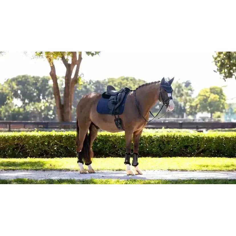 A brown horse wearing a navy lemieux finesse dressage faux leather saddle pad with matching bridle and leg wraps outdoors