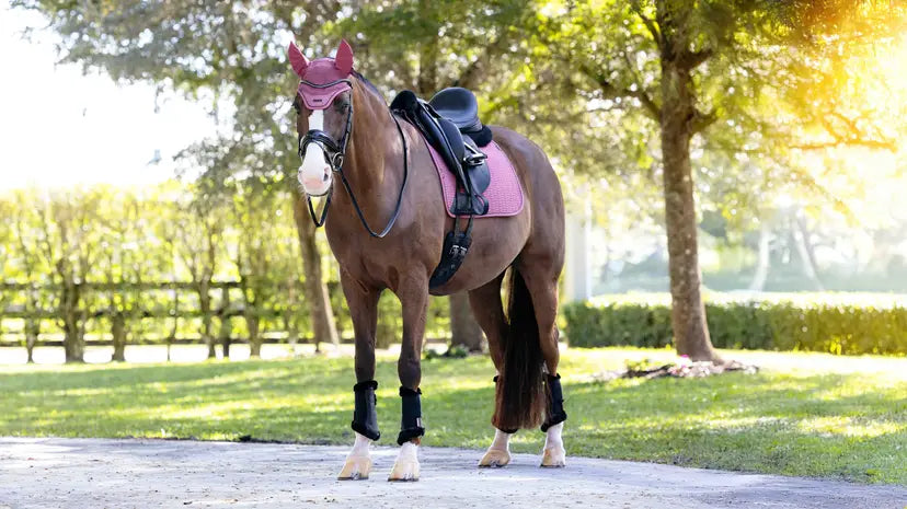 Lemieux Finesse Dressage Square Rosewood Rosewood Small/Medium Dressage Saddle Pads