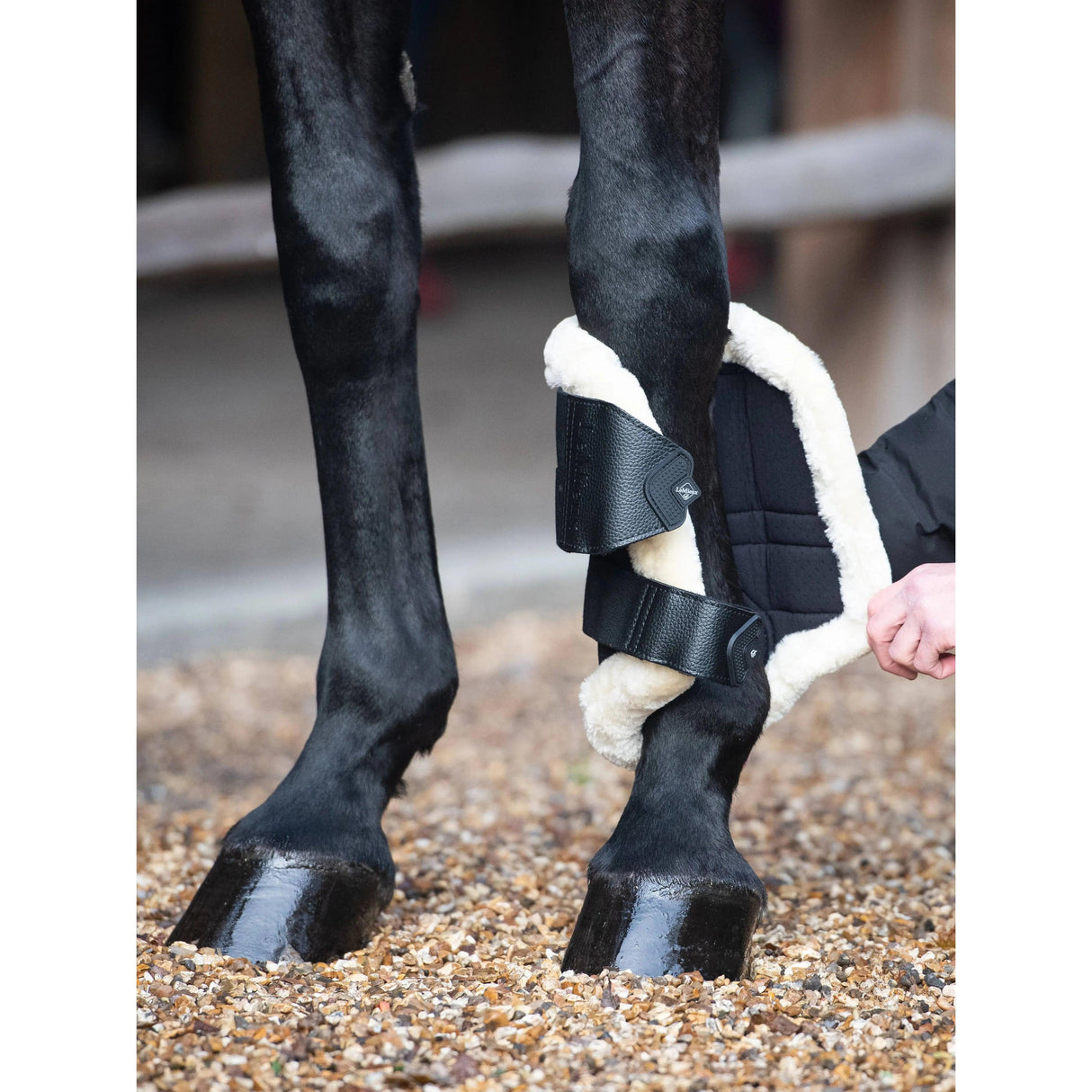 LeMieux Fleece Edged Mesh Brushing Boot Black  - Barnstaple Equestrian Supplies