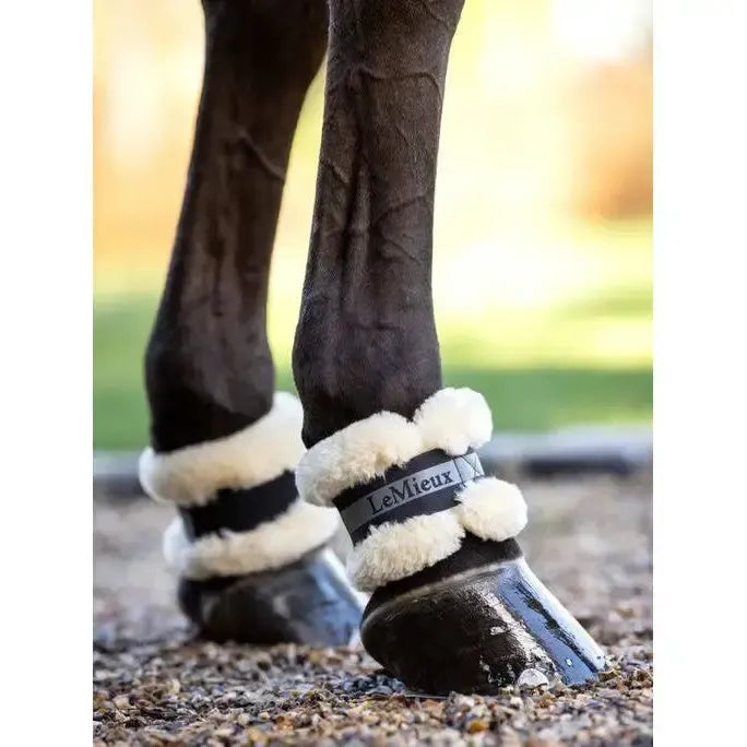 LeMieux Fleece Pastern Wrap Black One Size Black Pastern Guards