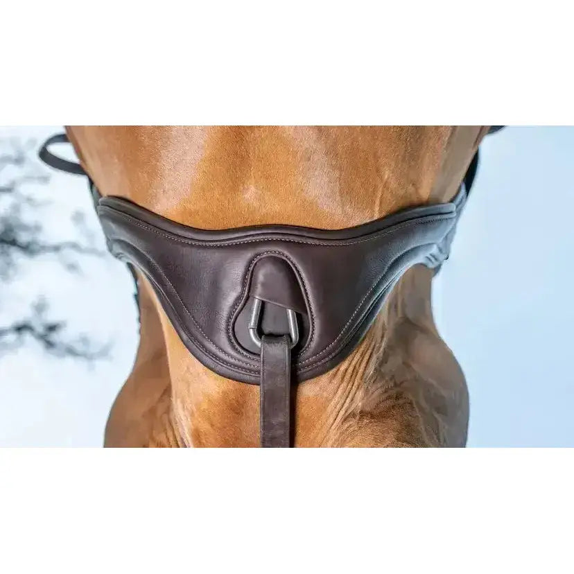 Dark brown leather horse halter with central metal buckle and stitched edges for anatomic high performance use