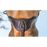 Dark brown leather horse halter with central metal buckle and stitched edges for anatomic high performance use