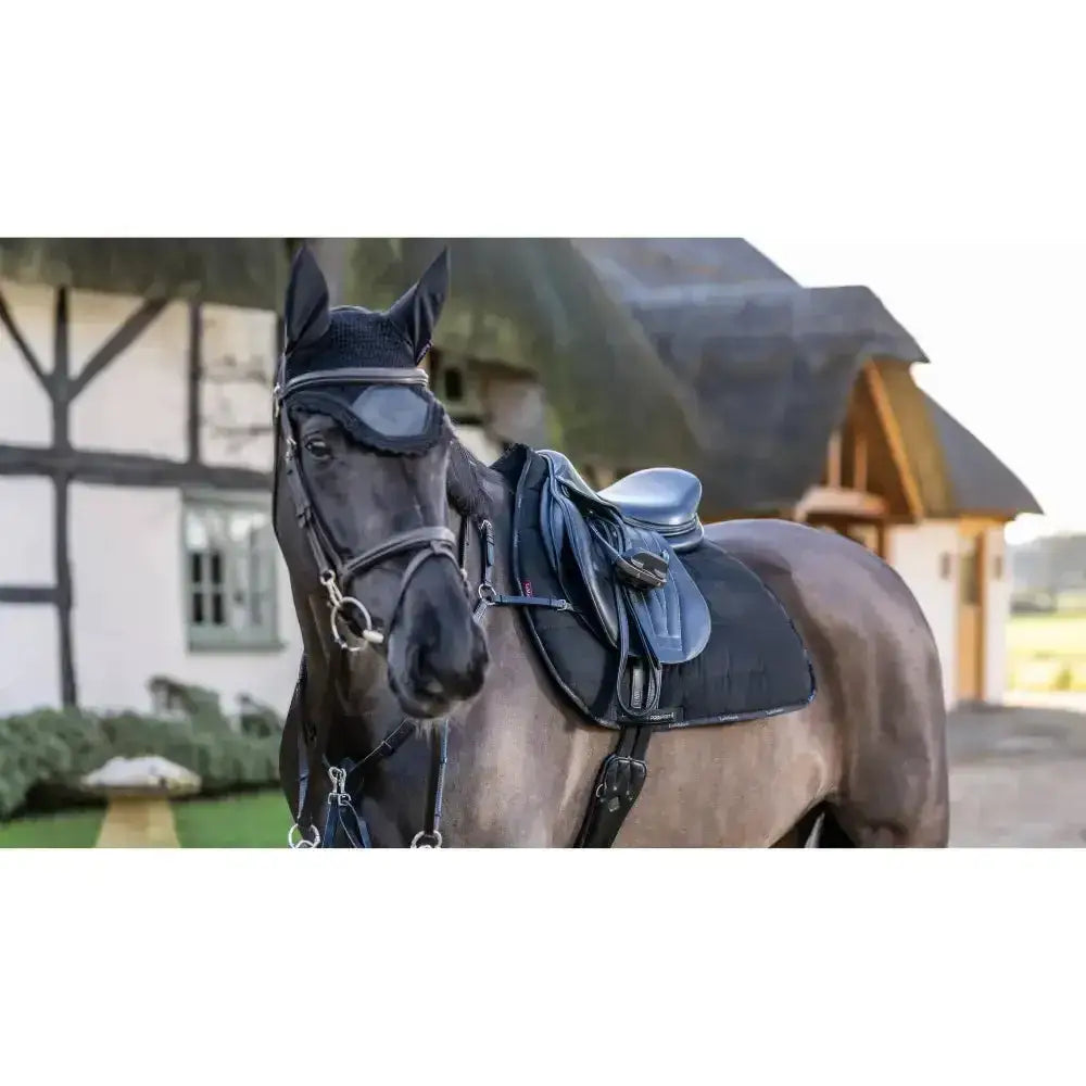 Black horse wearing lemieux general purpose work pad in black with extra padding saddle pads under sleek dark blue tack