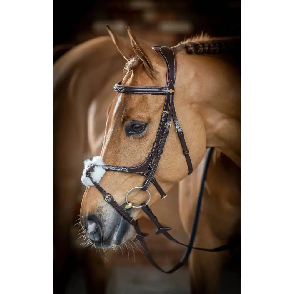 LeMieux Grackle Bridle Black Cob Bridles Barnstaple Equestrian Supplies