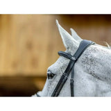 Black leather lemieux grackle bridle with subtle logo on browband and merino wool padding for comfort