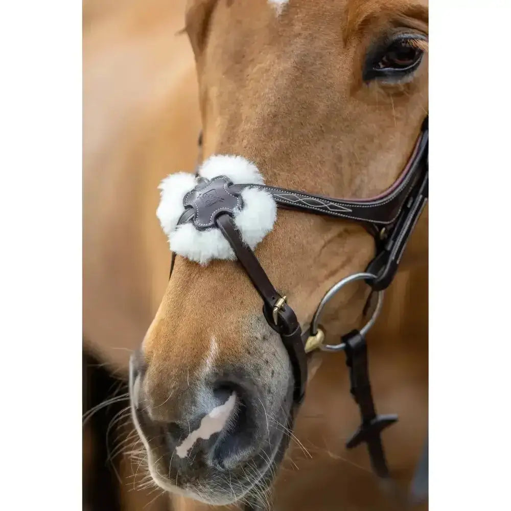Brown horse wearing a lemieux grackle bridle with black leather and white merino wool fur trim and decorative stitching