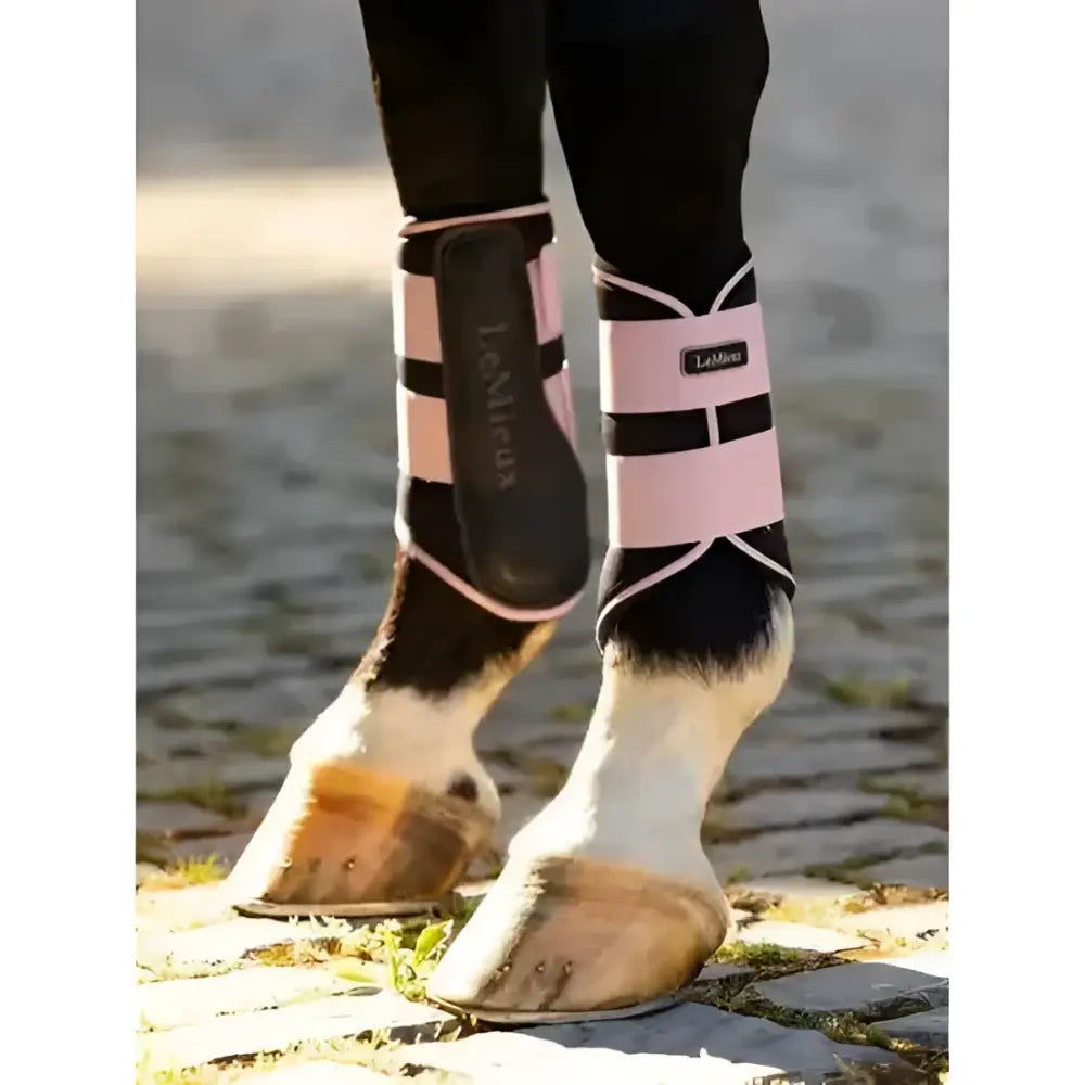 Pink and black lemieux grafter brushing boots blossom with white trim for horse leg protection and support