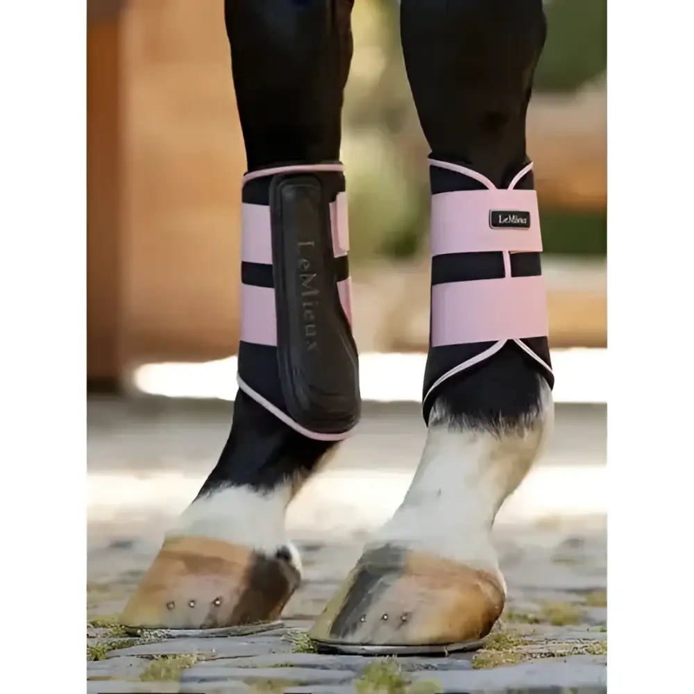 Pink and black lemieux grafter brushing boots blossom with sleek design for horse leg protection and support