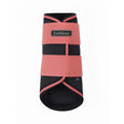 Pink and black lemieux grafter brushing boots cranberry with elastic straps for horse leg protection