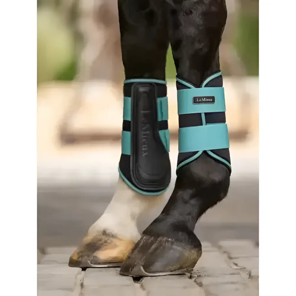 Teal and black lemieux grafter brushing boots lagoon with adjustable straps for horse leg protection