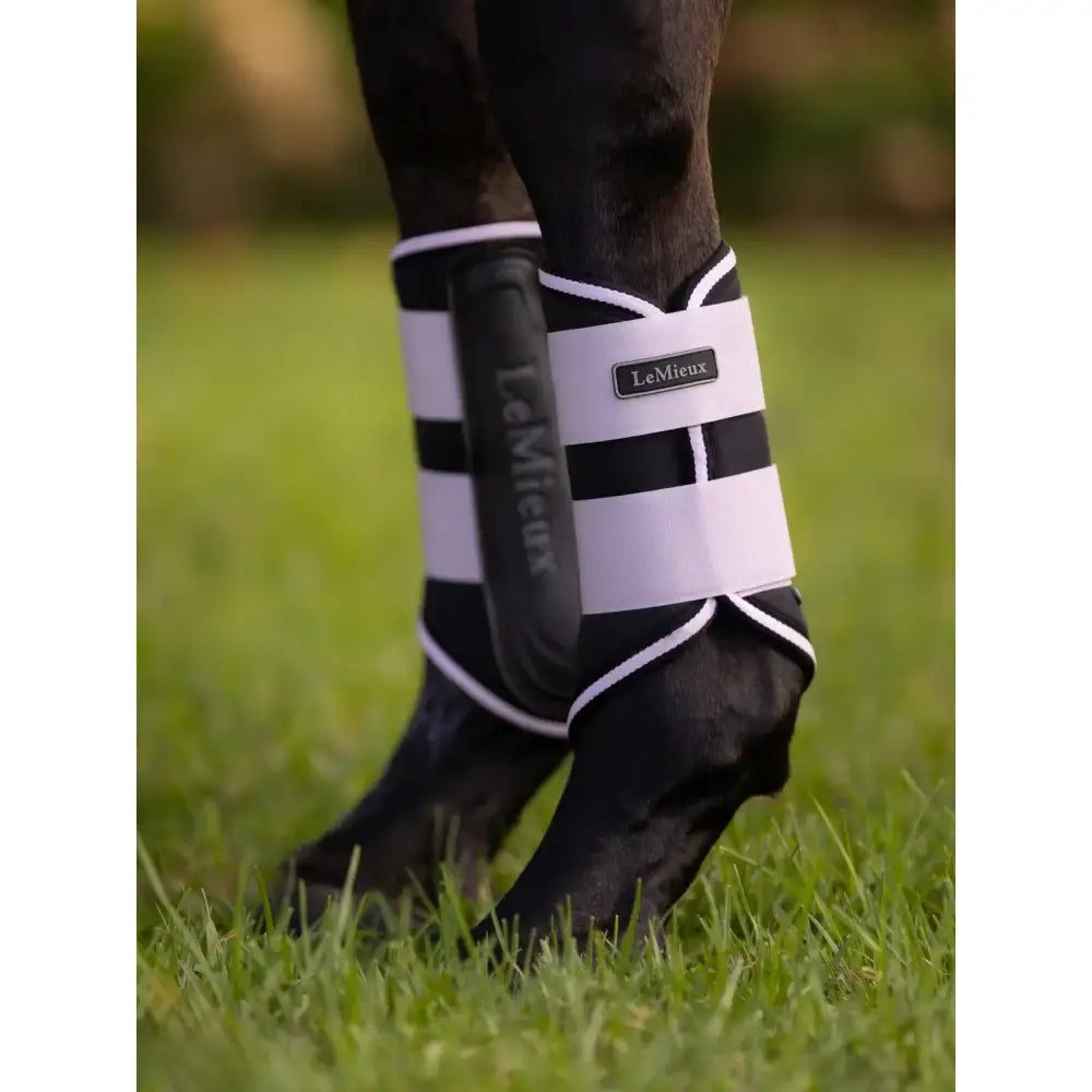 Black and white striped lemieux grafter brushing boots lilac horse ankle guard with sleek padded design