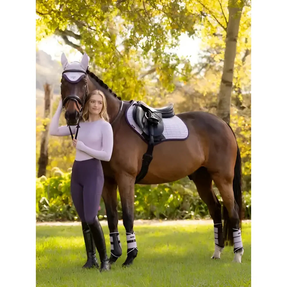 A sleek dark brown horse wearing lemieux grafter brushing boots lilac standing calmly in an autumn field
