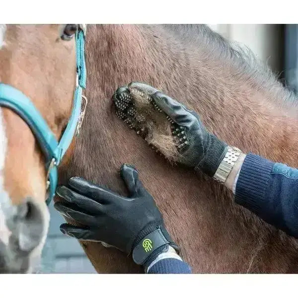 Black LeMieux hands on de shedding grooming gloves with green logo and rubbery grip on back for horse care use