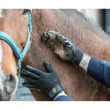Black LeMieux hands on de shedding grooming gloves with green logo and rubbery grip on back for horse care use