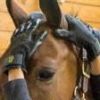 Black LeMieux hands on de shedding grooming gloves with textured grip and yellow logo, perfect for grooming gloves hands or traditional curry combs