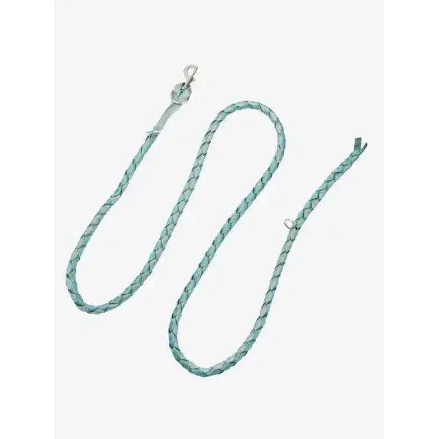 A braided mint green leather strap with silver metal clasp from lemieux harlequin leadrope aqua collection