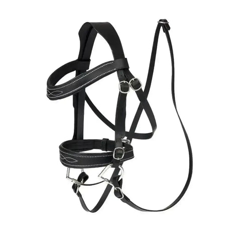 Black leather lemieux hobby horse competition bridle black with white stitching and silver metal buckles