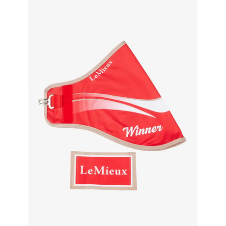 Red lemieux hobby horse winners rug red with white branding and silver metal d-ring attachment on horse winners rug